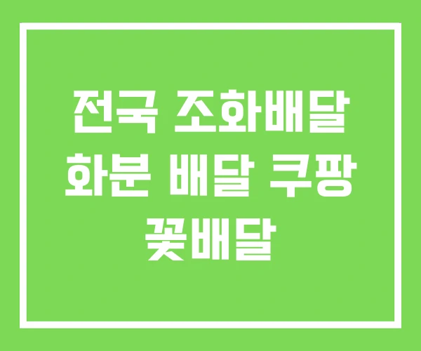 전국 조화배달 화분 배달 쿠팡 꽃배달 전국 조화배달 화분 배달 쿠팡 꽃배달