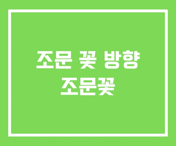 조문 꽃 방향 조문꽃 조문 꽃 방향 조문꽃