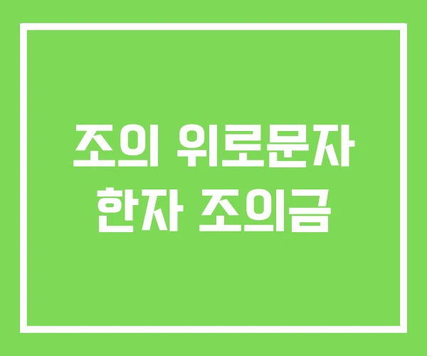 조의 위로문자 한자 조의금