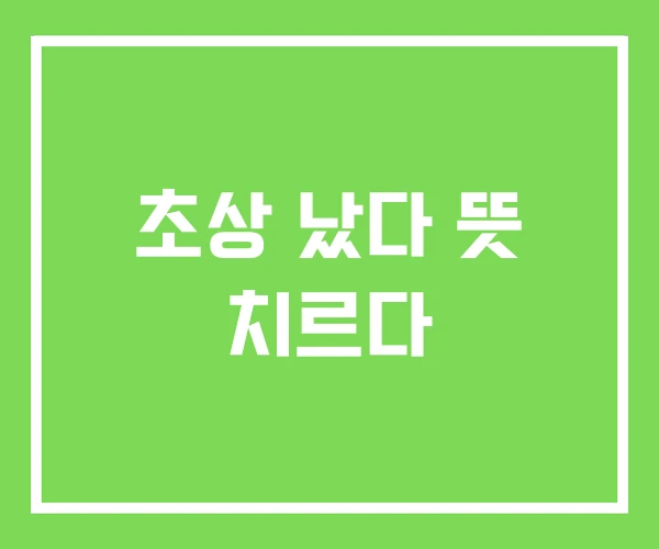 초상 났다 뜻 치르다