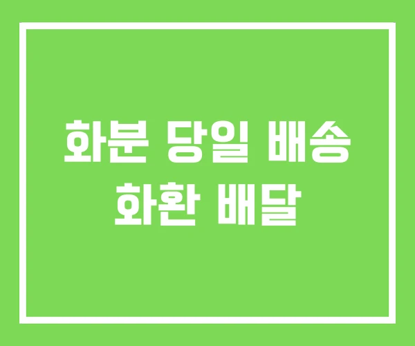 화분 당일 배송 화환 배달 화분 당일 배송 화환 배달