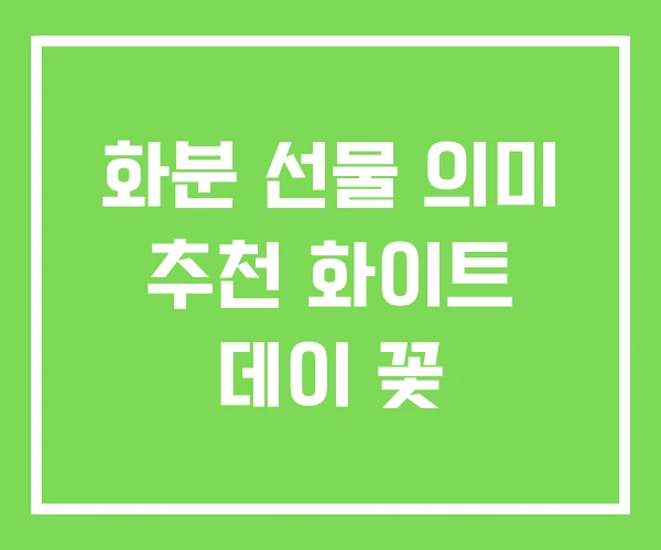 화분 선물 의미 추천 화이트 데이 꽃 화분 선물 의미 추천 화이트 데이 꽃