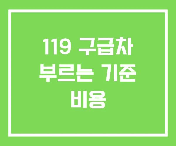119 구급차 부르는 기준 비용 119 구급차 부르는 기준 비용