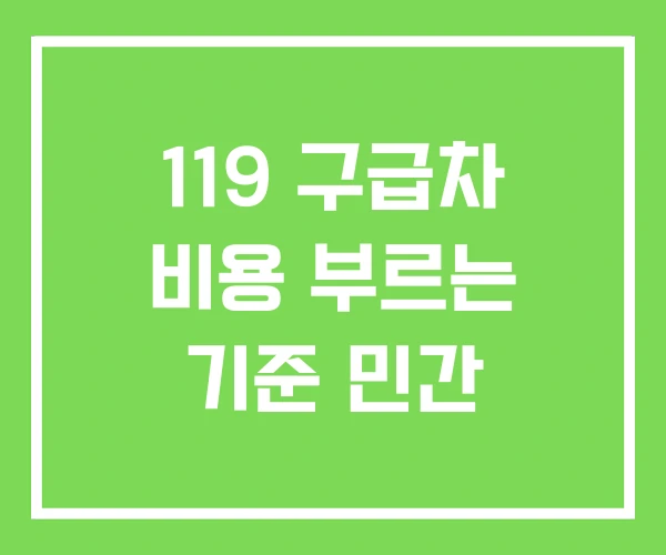 119 구급차 비용 부르는 기준 민간