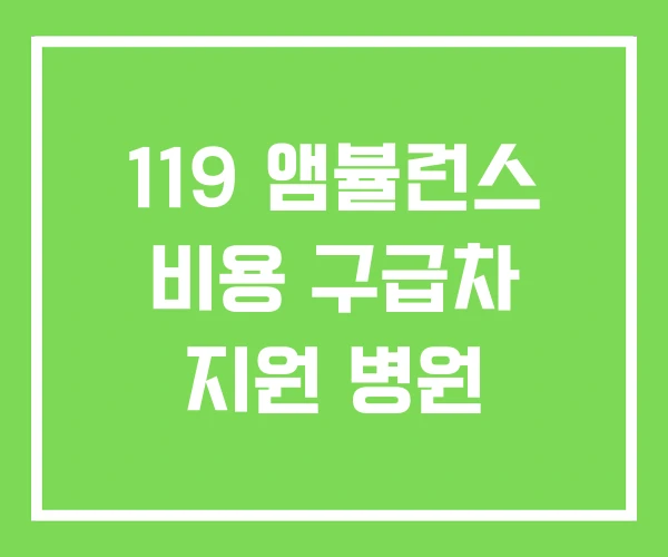 119 앰뷸런스 비용 구급차 지원 병원 119 앰뷸런스 비용 구급차 지원 병원
