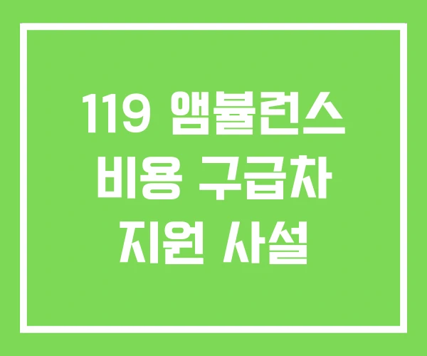 119 앰뷸런스 비용 구급차 지원 사설 119 앰뷸런스 비용 구급차 지원 사설