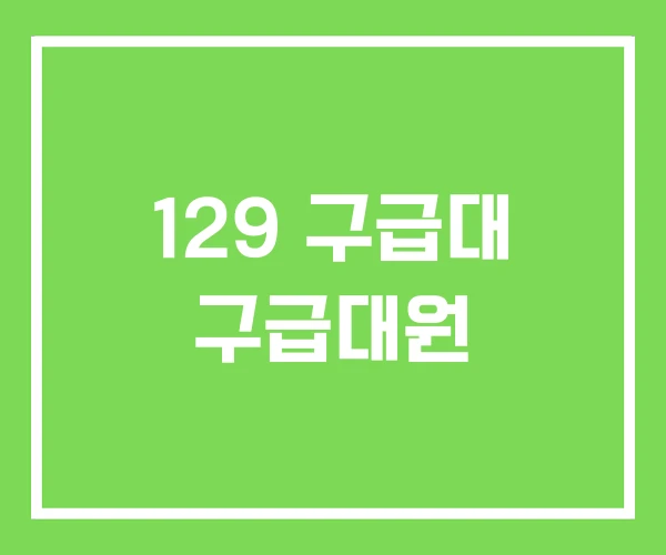 129 구급대 구급대원