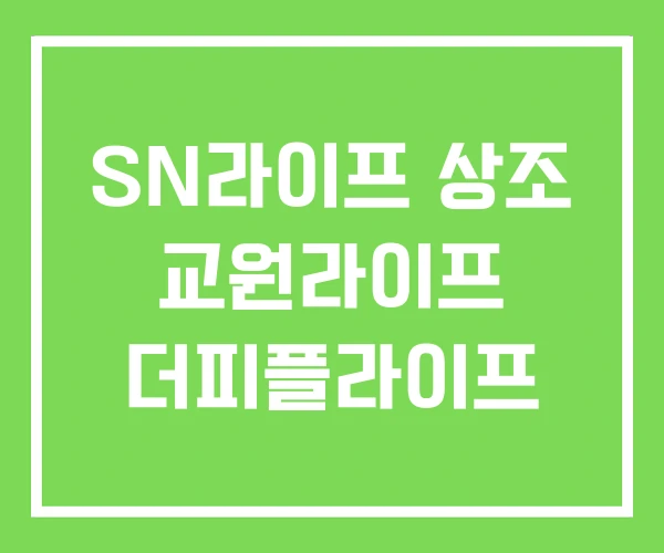 SN라이프 상조 교원라이프 더피플라이프