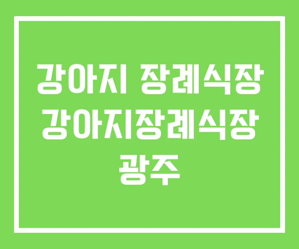 강아지 장례식장 강아지장례식장 광주 강아지 장례식장 강아지장례식장 광주