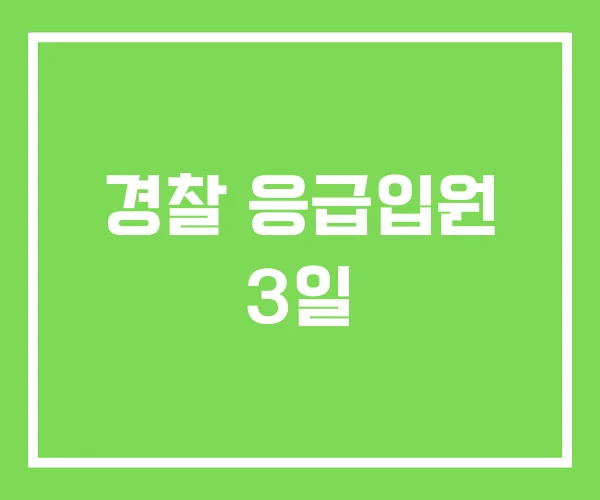 경찰 응급입원 3일