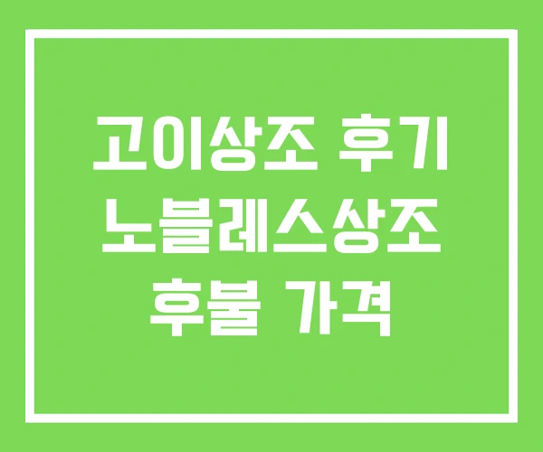 고이상조 후기 노블레스상조 후불 가격