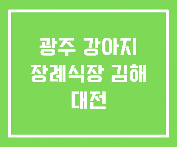 광주 강아지 장례식장 김해 대전