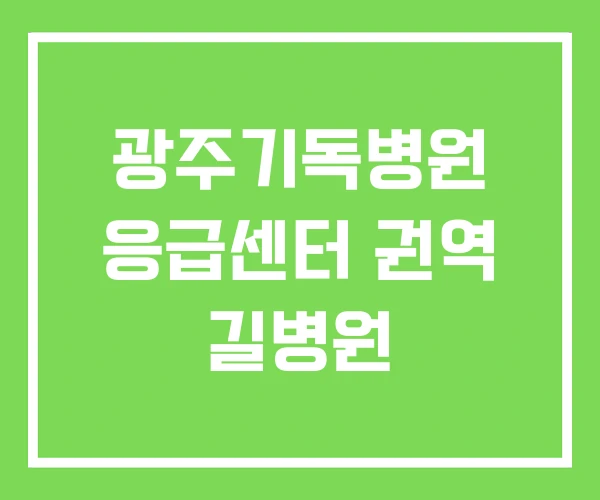 광주기독병원 응급센터 권역 길병원