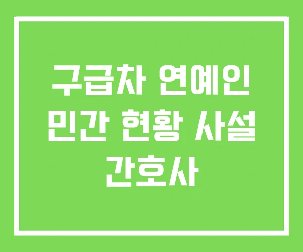 구급차 연예인 민간 현황 사설 간호사 구급차 연예인 민간 현황 사설 간호사
