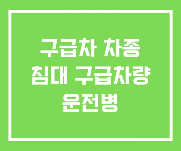 구급차 차종 침대 구급차량 운전병