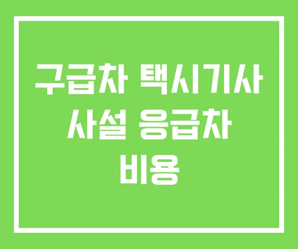 구급차 택시기사 사설 응급차 비용