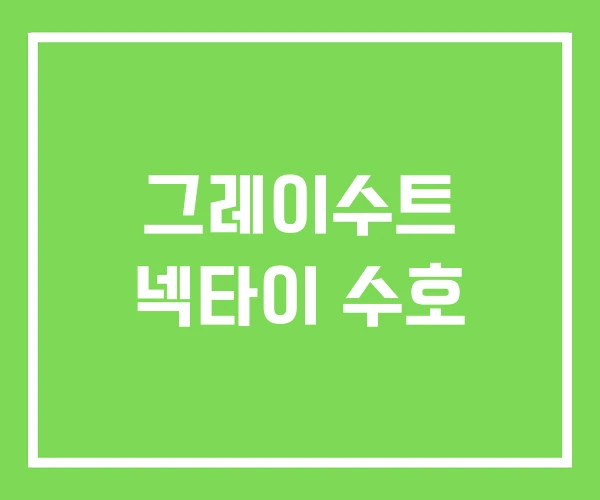 그레이수트 넥타이 수호