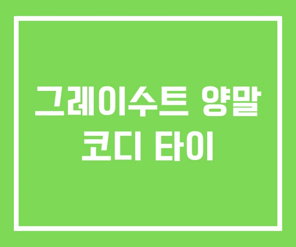 그레이수트 양말 코디 타이 그레이수트 양말 코디 타이