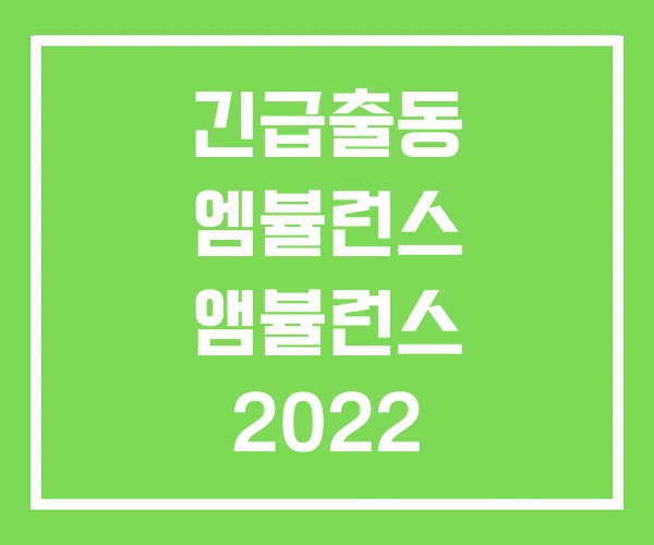 긴급출동 엠뷸런스 앰뷸런스 2022 긴급출동 엠뷸런스 앰뷸런스 2022