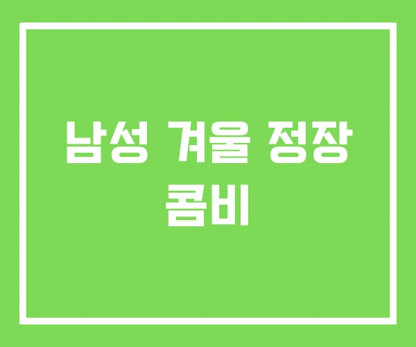 남성 겨울 정장 콤비