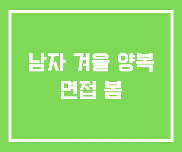 남자 겨울 양복 면접 봄
