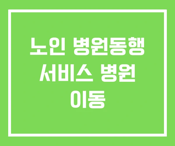 노인 병원동행 서비스 병원 이동