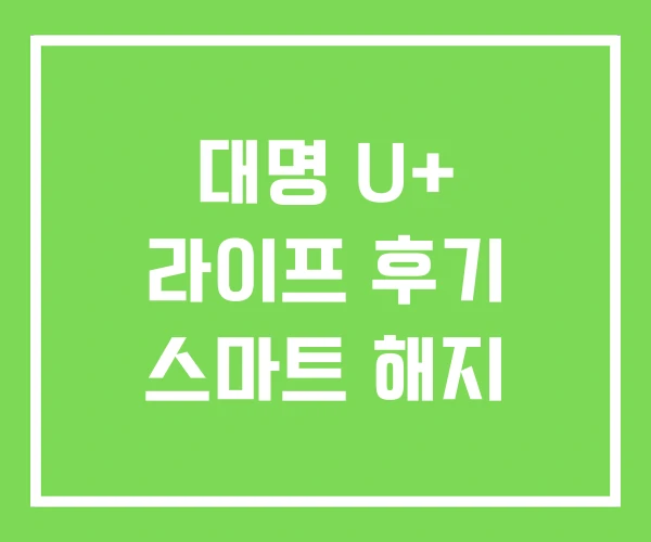 대명 U+ 라이프 후기 스마트 해지