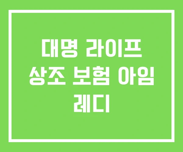 대명 라이프 상조 보험 아임 레디