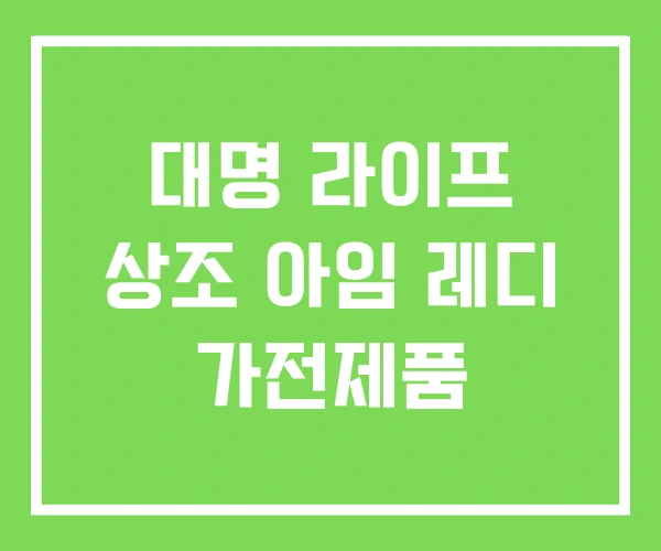 대명 라이프 상조 아임 레디 가전제품