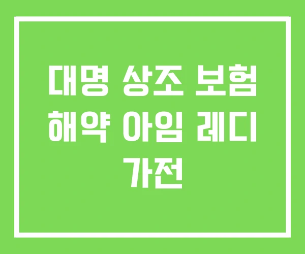 대명 상조 보험 해약 아임 레디 가전