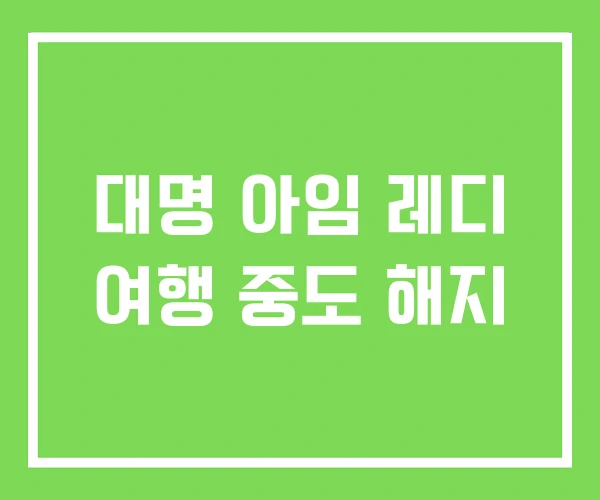 대명 아임 레디 여행 중도 해지 대명 아임 레디 여행 중도 해지
