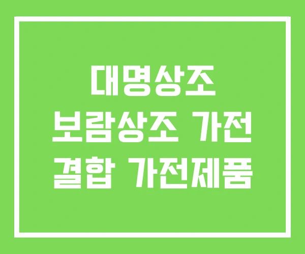 대명상조 보람상조 가전 결합 가전제품 대명상조 보람상조 가전 결합 가전제품