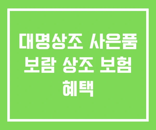 대명상조 사은품 보람 상조 보험 혜택