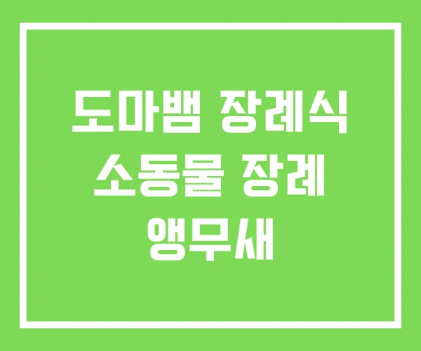도마뱀 장례식 소동물 장례 앵무새