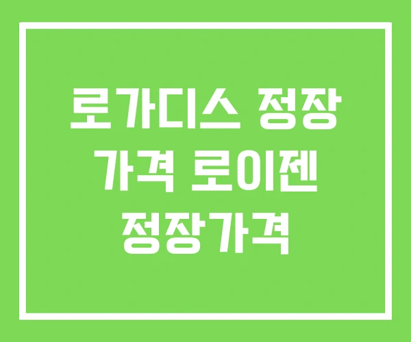 로가디스 정장 가격 로이젠 정장가격
