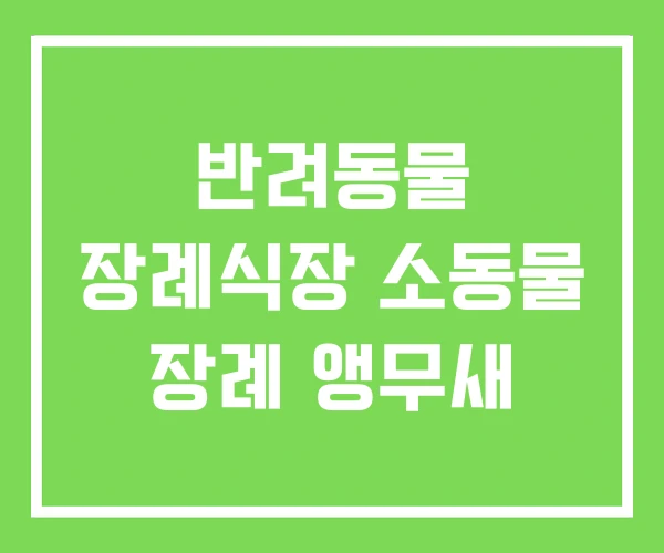 반려동물 장례식장 소동물 장례 앵무새