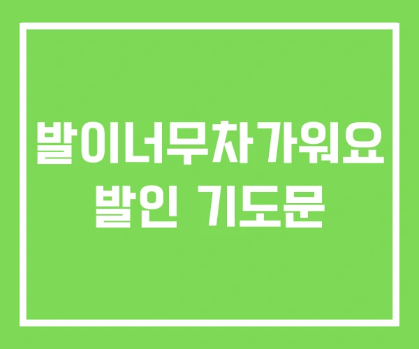 발이너무차가워요 발인 기도문 발이너무차가워요 발인 기도문