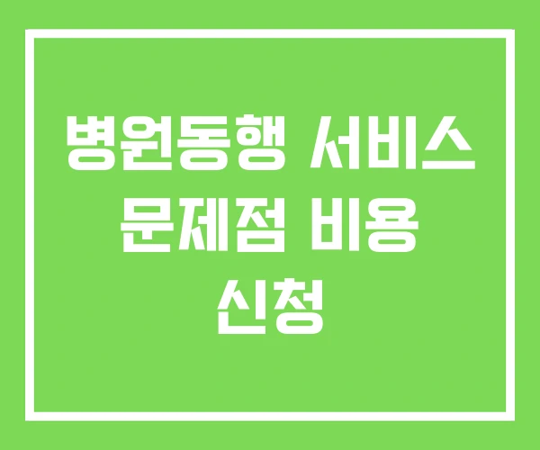 병원동행 서비스 문제점 비용 신청 병원동행 서비스 문제점 비용 신청
