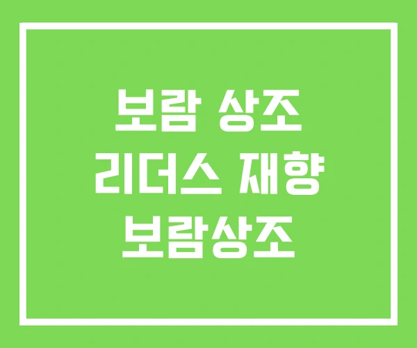 보람 상조 리더스 재향 보람상조 보람 상조 리더스 재향 보람상조