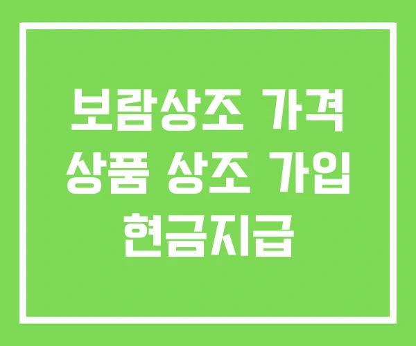 보람상조 가격 상품 상조 가입 현금지급 보람상조 가격 상품 상조 가입 현금지급