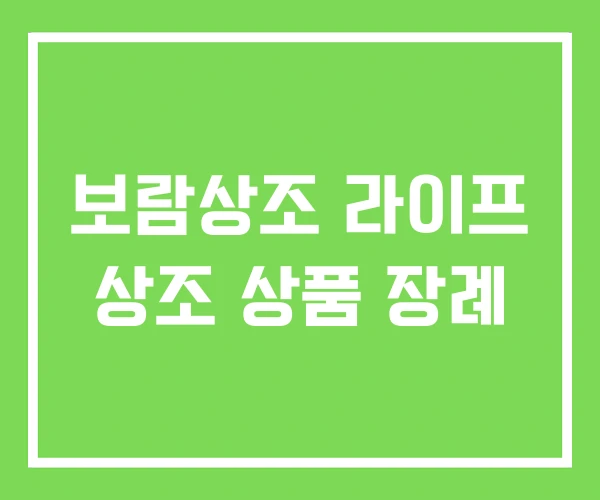 보람상조 라이프 상조 상품 장례