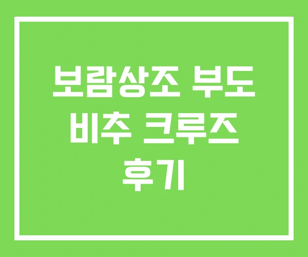 보람상조 부도 비추 크루즈 후기