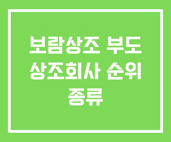 보람상조 부도 상조회사 순위 종류 보람상조 부도 상조회사 순위 종류