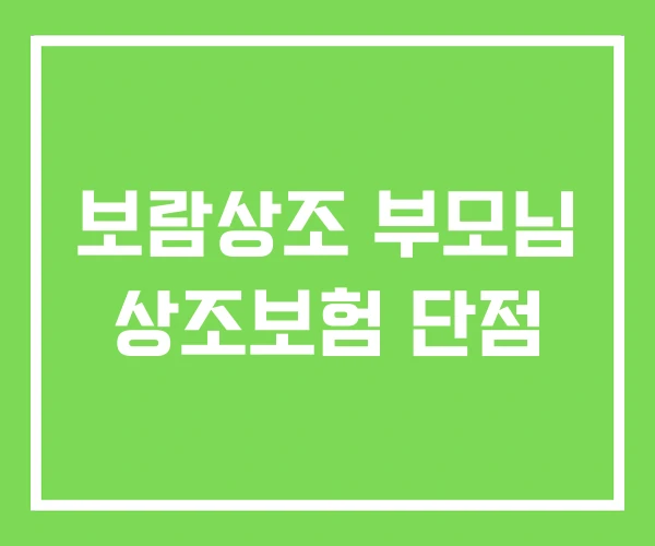 보람상조 부모님 상조보험 단점 보람상조 부모님 상조보험 단점