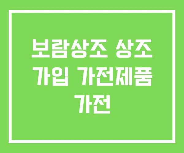 보람상조 상조 가입 가전제품 가전 보람상조 상조 가입 가전제품 가전