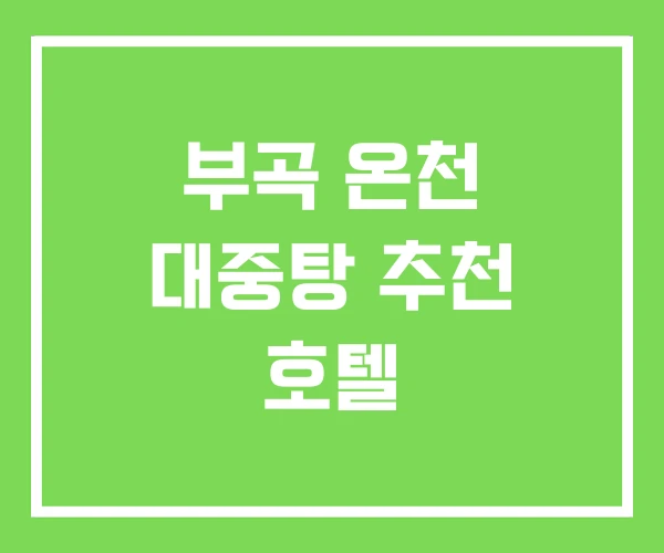 부곡 온천 대중탕 추천 호텔 부곡 온천 대중탕 추천 호텔