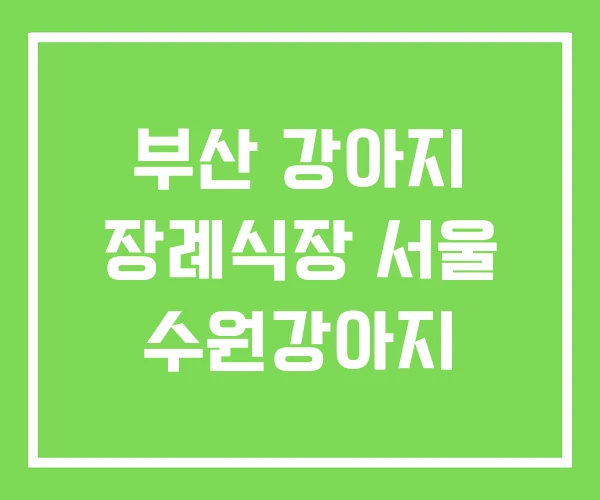 부산 강아지 장례식장 서울 수원강아지
