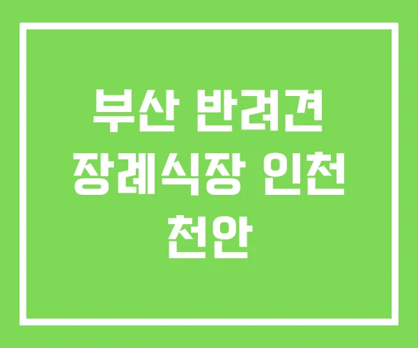 부산 반려견 장례식장 인천 천안 부산 반려견 장례식장 인천 천안