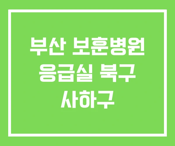 부산 보훈병원 응급실 북구 사하구 부산 보훈병원 응급실 북구 사하구