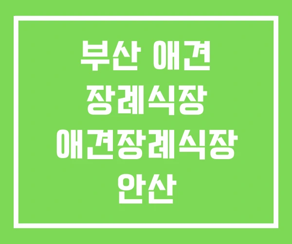 부산 애견 장례식장 애견장례식장 안산 부산 애견 장례식장 애견장례식장 안산